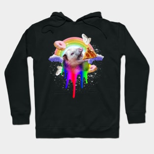 Rainbow Possum Hoodie